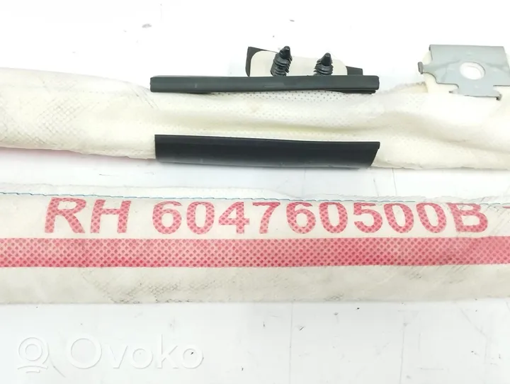 KIA Magentis Stogo oro pagalvė (užuolaida) 604760500B