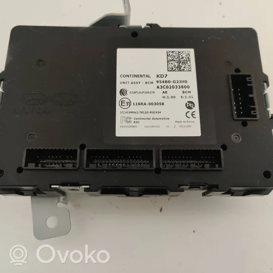 Hyundai Ioniq Module confort 954B0G2JH0