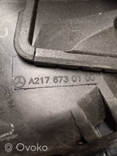 Mercedes-Benz S C217 Gumowa uszczelka szyby drzwi tylnych A2176730100