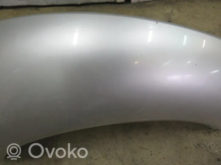 Volkswagen New Beetle Rear quarter panel 