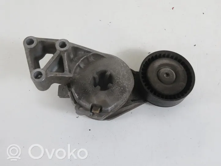 Volkswagen New Beetle Generator/alternator belt tensioner 