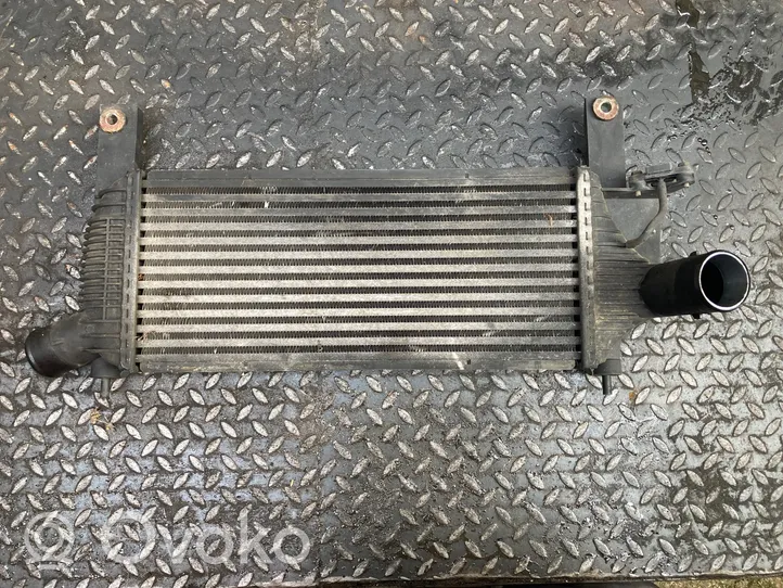 Nissan Pathfinder R51 Radiatore intercooler 14461EB360