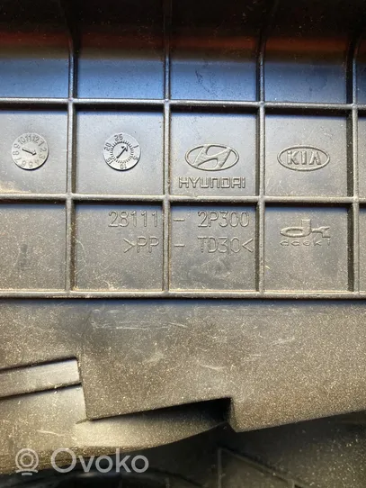 Hyundai Santa Fe Air filter box cover 281112P300