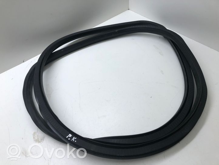 Opel Insignia A Front door rubber seal 