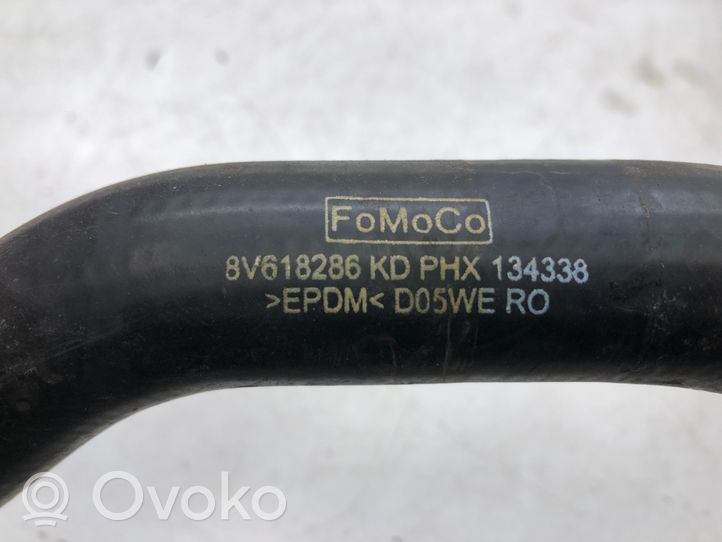 Ford Focus Moottorin vesijäähdytyksen putki/letku 8V618286KD
