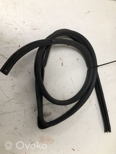 Toyota Avensis T250 Front door rubber seal 