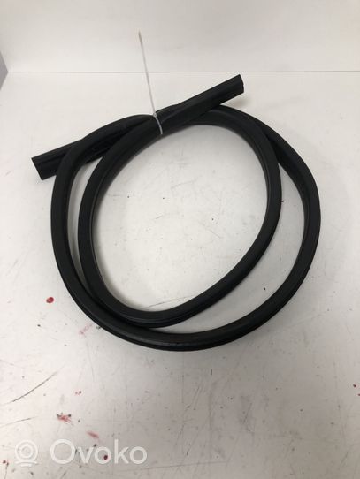 Ford Focus Rear door rubber seal (on body) 