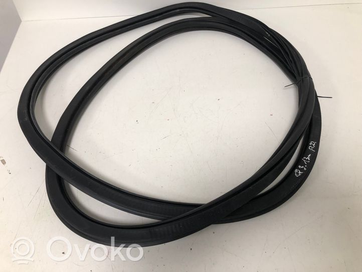 Audi Q3 8U Front door rubber seal 