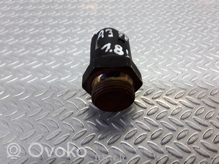 Audi A3 S3 8L Dzesēšanas šķidruma temperatūras sensors 09594818