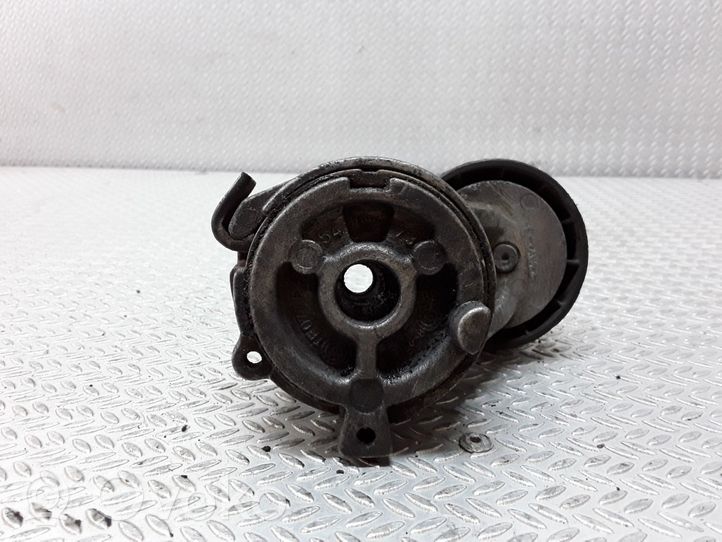 Citroen Berlingo Tendicinghia generatore/alternatore 