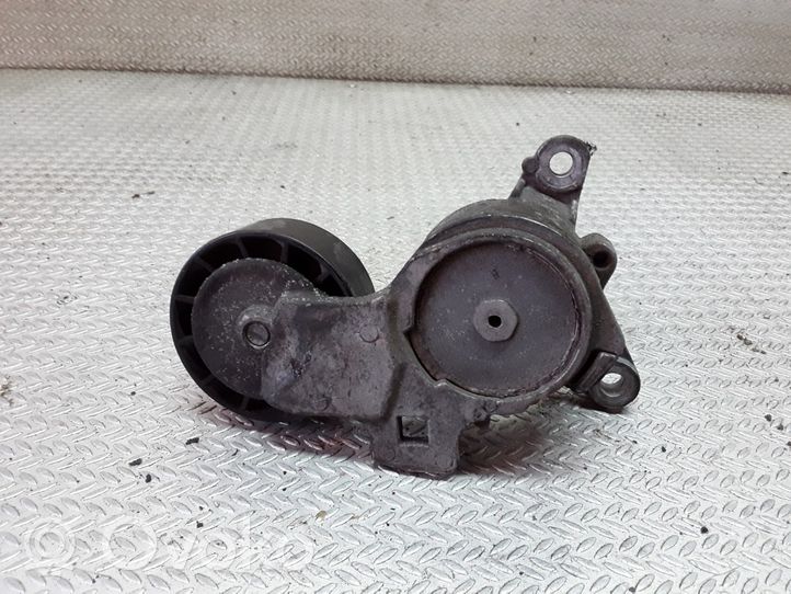 Citroen C4 I Picasso Tendicinghia generatore/alternatore 