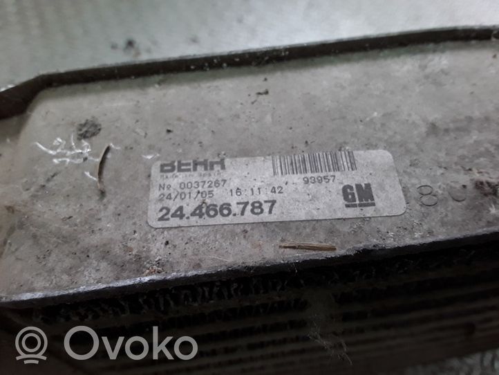 Opel Corsa C Chłodnica powietrza doładowującego / Intercooler 24466787