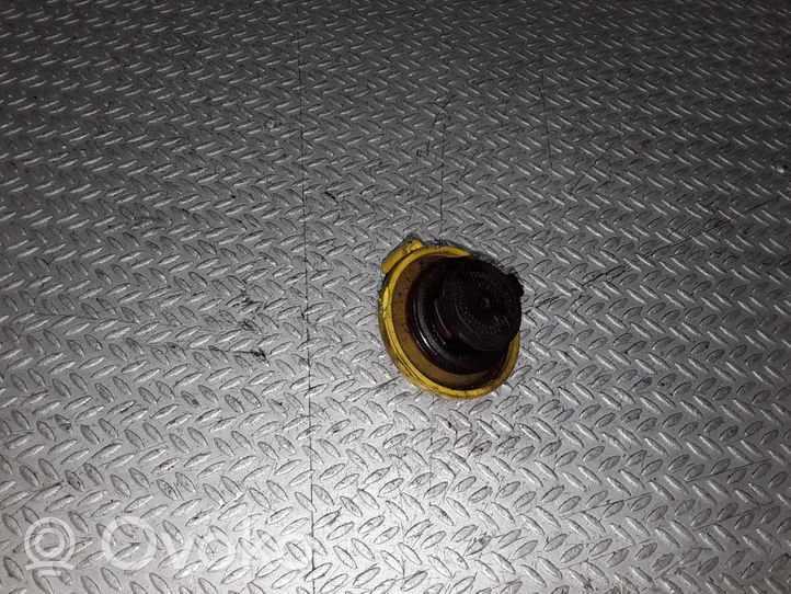 Renault Scenic I Oil filler cap 