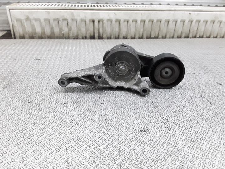 Volkswagen Jetta V Generator/alternator belt tensioner 03G903315C