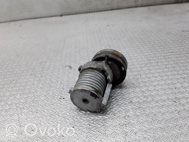 Audi A2 Napinacz paska alternatora 030145299C