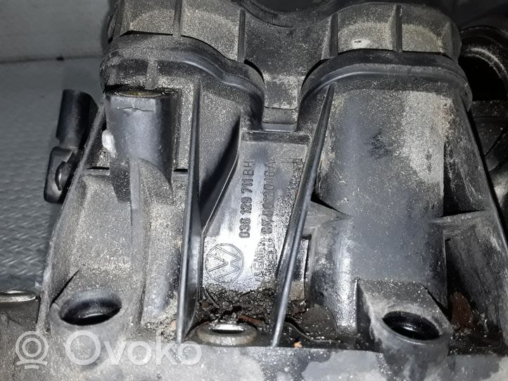 Audi A2 Kolektorius įsiurbimo 036129711BH