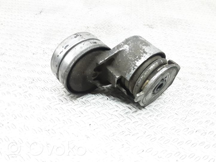 Renault Megane III Napinacz paska alternatora 9053284628