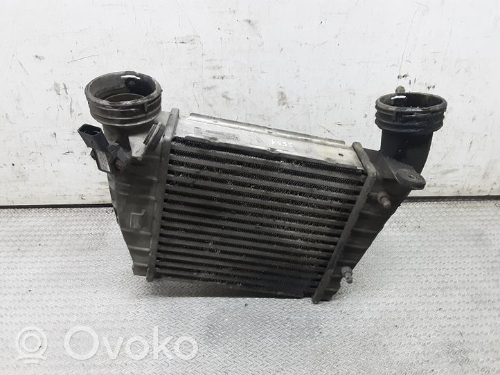 Volkswagen Phaeton Intercooler radiator 874831RA