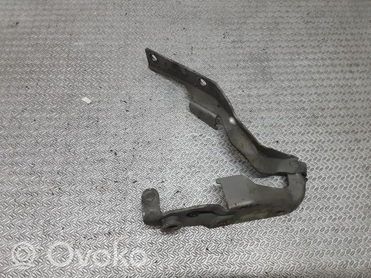 Nissan Maxima A34 Engine bonnet/hood hinges 