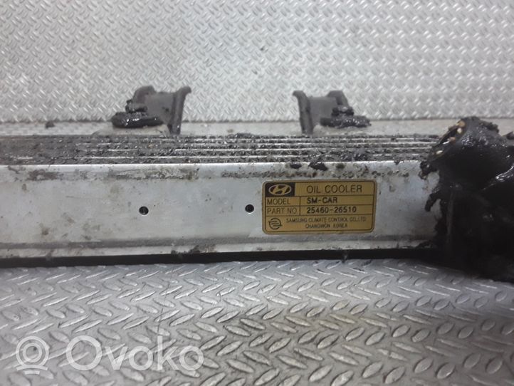 Hyundai Santa Fe Radiateur de direction assistée 2546026510