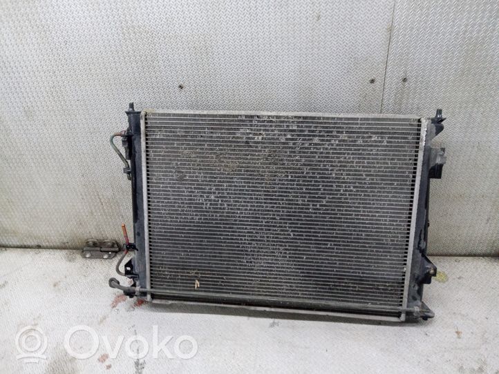 Hyundai Grandeur Dzesēšanas šķidruma radiators 