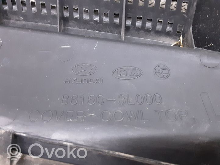 Hyundai Grandeur Rivestimento del tergicristallo 861503L000