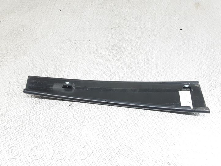 Volkswagen Phaeton Rear door glass trim molding 3D4839890