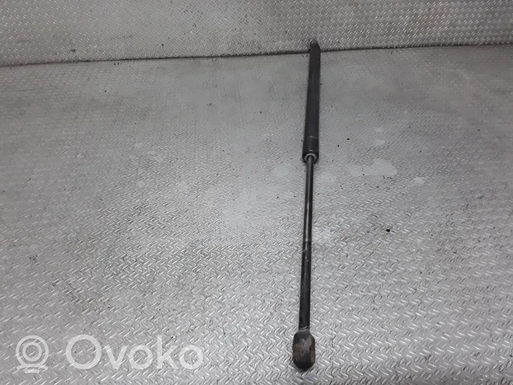 Volkswagen Caddy Tailgate/trunk strut/damper 