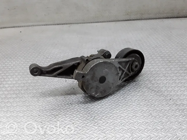 Volkswagen PASSAT B6 Napinacz paska alternatora 03G903315