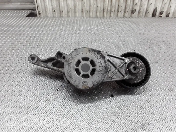 Volkswagen PASSAT B6 Napinacz paska alternatora 03G903315C