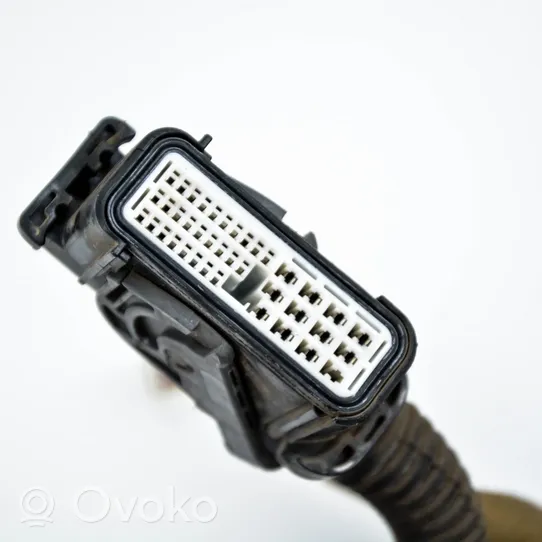 Infiniti FX Faisceau de câbles hayon de coffre 24125CG010