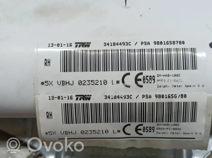 Peugeot 5008 Stogo oro pagalvė (užuolaida) 9801658780