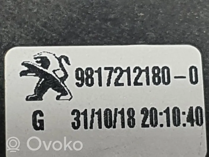 Citroen Berlingo Alzacristalli della portiera anteriore con motorino 9817212180