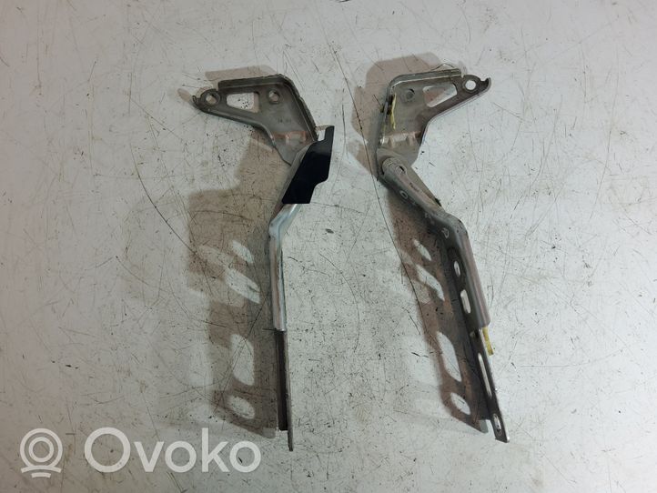 Audi Q7 4L Set di cerniere portiera anteriore 4L0823301