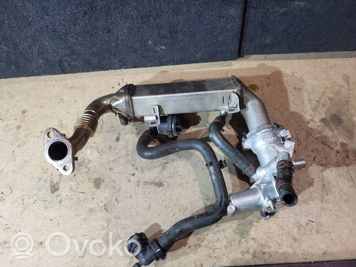 Renault Latitude (L70) EGR valve cooler 8200914967