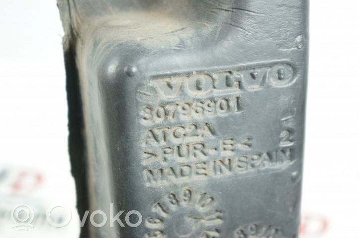 Volvo S80 Soporte/sello del guardabarros de espuma 30796901