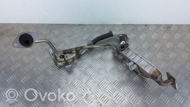 Toyota RAV 4 (XA40) EGR-venttiili/lauhdutin 2205000060