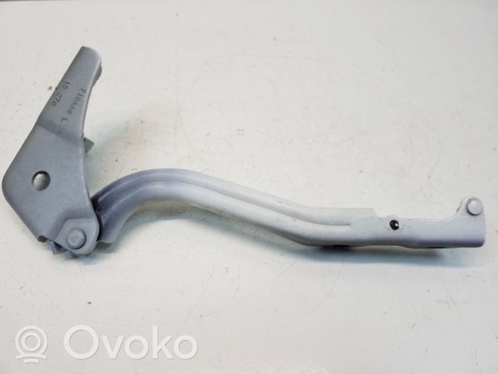 Chrysler 200 Engine bonnet/hood hinges 