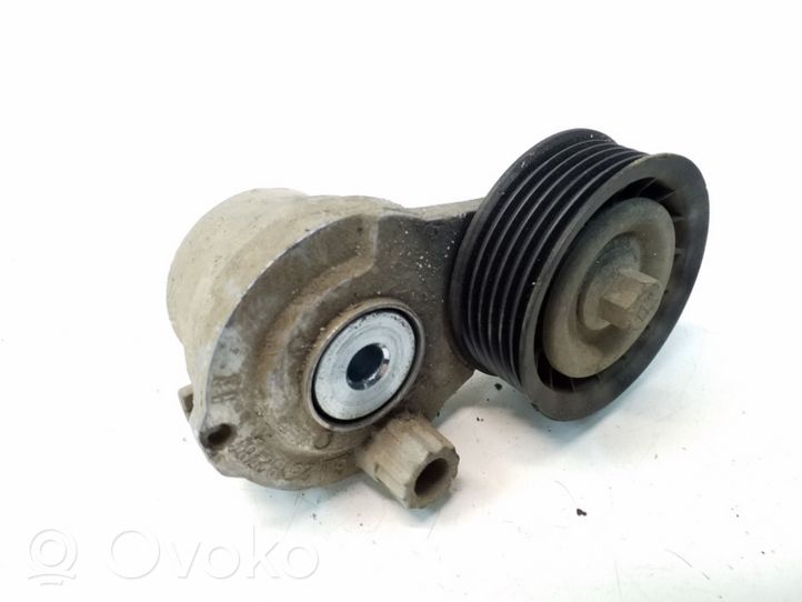 Opel Antara Napinacz paska wielorowkowego / Alternatora 25182787