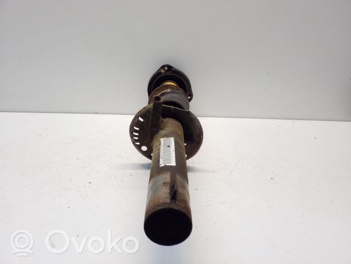 Volkswagen Jetta VI Ammortizzatore anteriore 824904006949