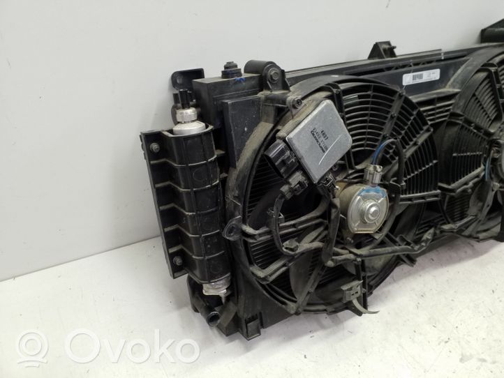 Nissan Leaf I (ZE0) Set del radiatore 214813NF0A