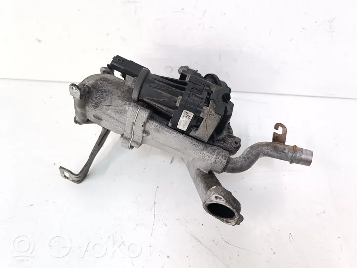 Citroen Berlingo Zawór EGR 9671187780