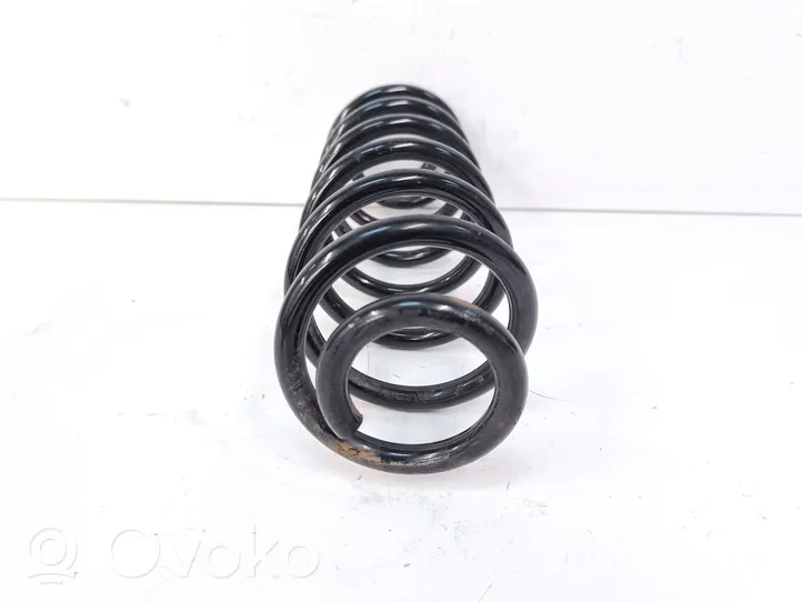 Volkswagen Tiguan Rear coil spring 