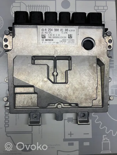 Mercedes-Benz GLC C254 Sterownik / Moduł ECU A2549000100