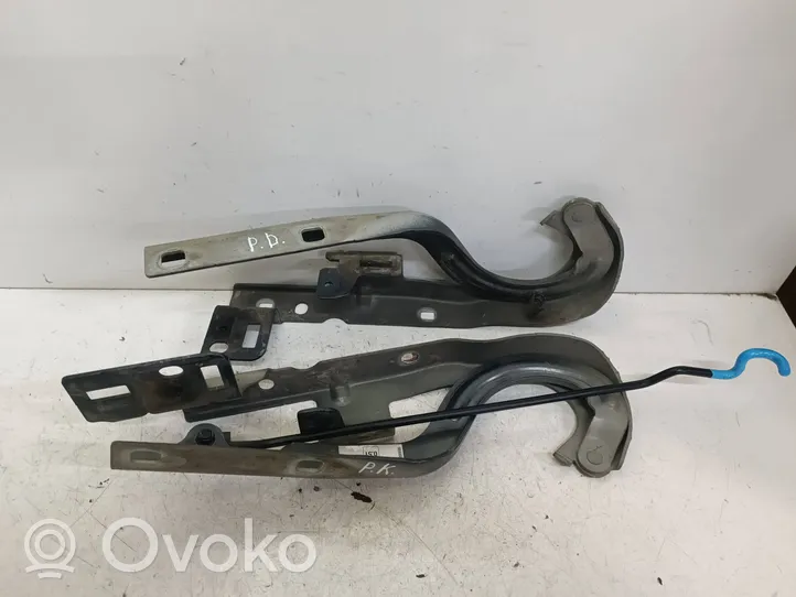 Peugeot 5008 Cerniere del vano motore/cofano 9666842780