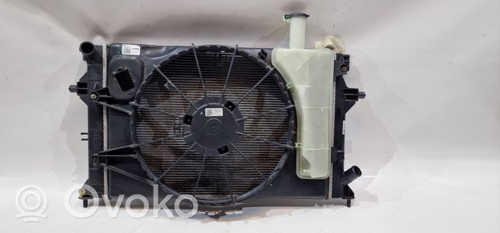 Hyundai Elantra Coolant radiator 25310-F2000