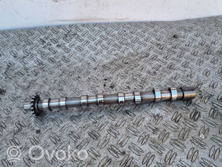 Land Rover Range Rover Evoque L538 Albero a camme 9670585080