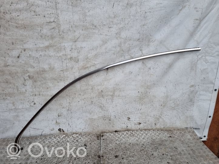 Opel Antara Moulures, baguette de toit P96660243