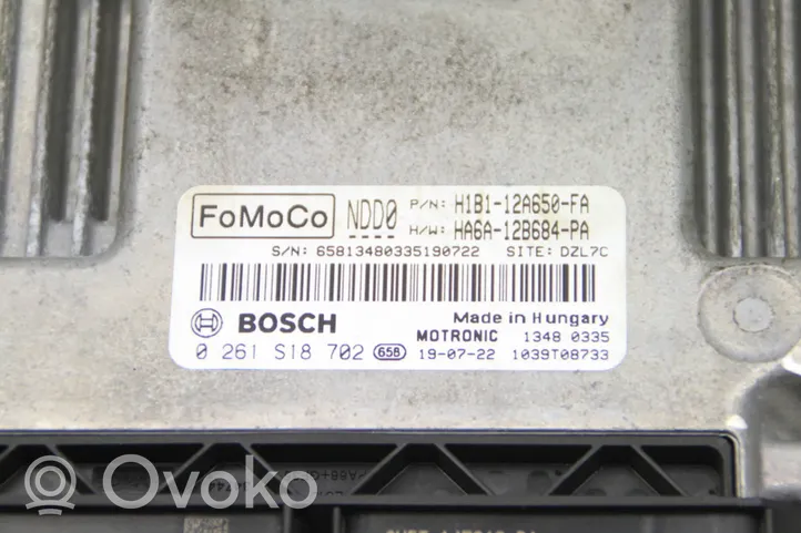 Ford Fiesta Sterownik / Moduł ECU H1B112A650FA