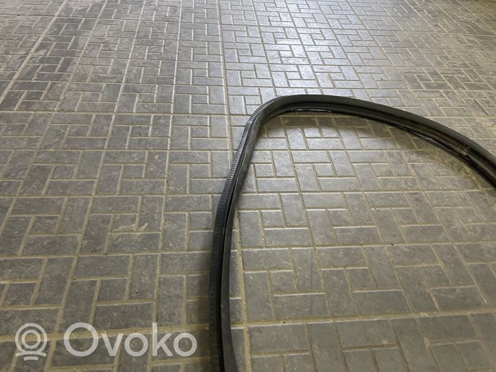 Opel Corsa D Front door rubber seal 13189011